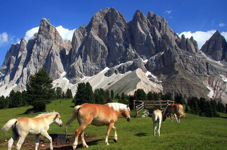 Dolomitler (İtalya - İsviçre - Slovenya)