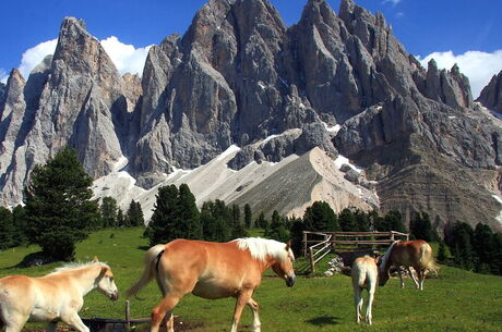 Bernina Ekspresi İle Alpler Ve Kuzey İtalya’nın Eşsiz Kasabaları